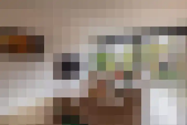 Gipskruid 8 Krimpen aan den IJssel thumbnail 14