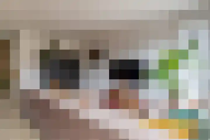 Gipskruid 8 Krimpen aan den IJssel thumbnail 15