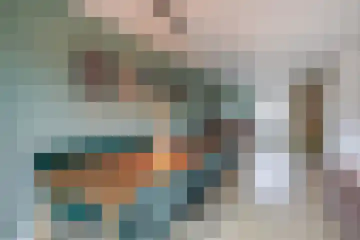 Gipskruid 8 Krimpen aan den IJssel thumbnail 17