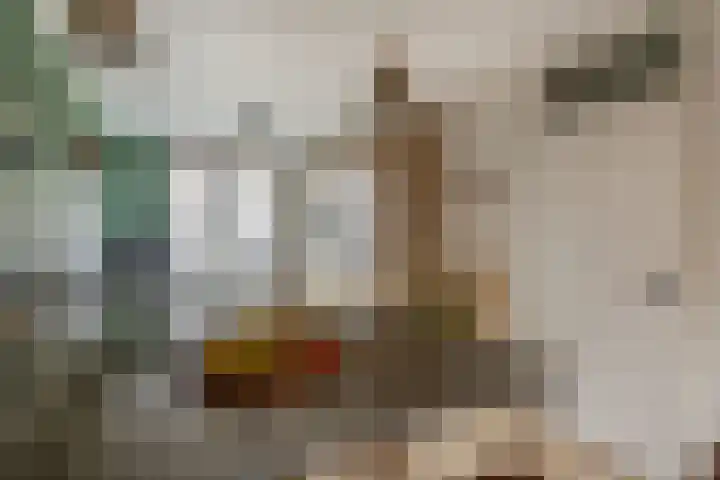 Gipskruid 8 Krimpen aan den IJssel thumbnail 21
