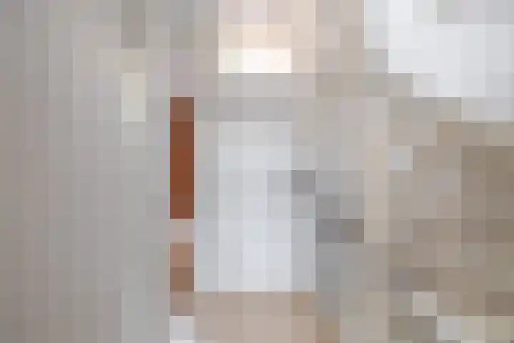 Gipskruid 8 Krimpen aan den IJssel thumbnail 22