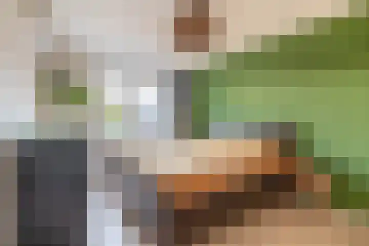 Gipskruid 8 Krimpen aan den IJssel thumbnail 23