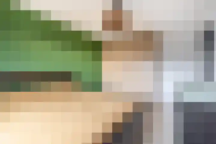 Gipskruid 8 Krimpen aan den IJssel thumbnail 24