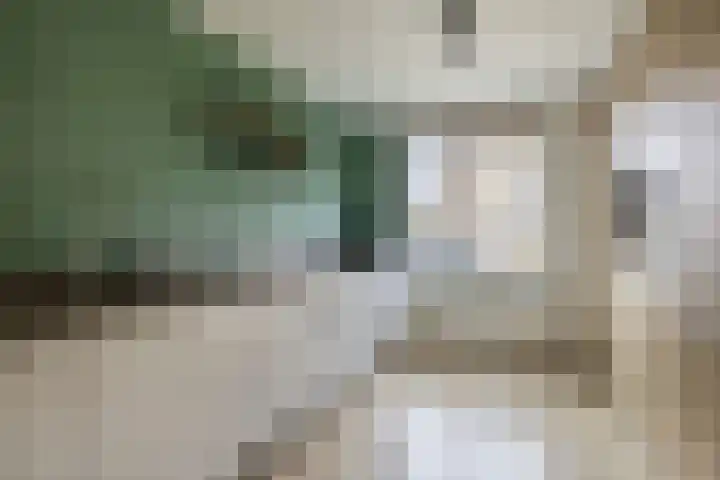 Gipskruid 8 Krimpen aan den IJssel foto 3