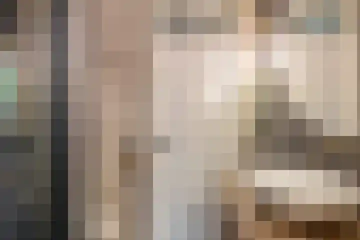 Gipskruid 8 Krimpen aan den IJssel thumbnail 30