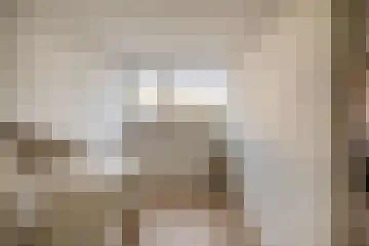 Gipskruid 8 Krimpen aan den IJssel thumbnail 33