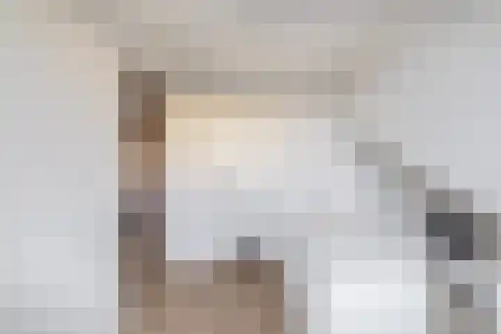Gipskruid 8 Krimpen aan den IJssel thumbnail 34