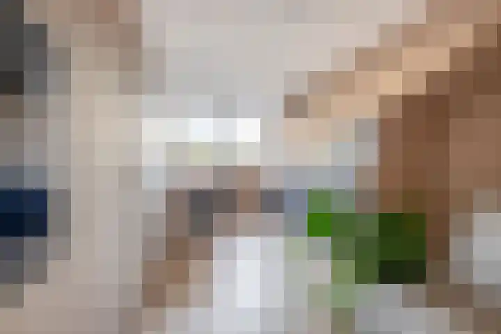 Gipskruid 8 Krimpen aan den IJssel thumbnail 36