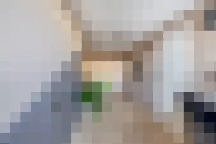 Gipskruid 8 Krimpen aan den IJssel thumbnail 37