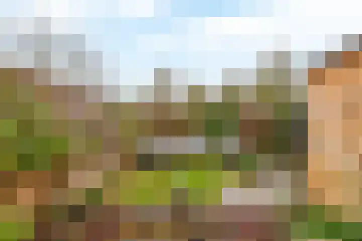 Gipskruid 8 Krimpen aan den IJssel thumbnail 38