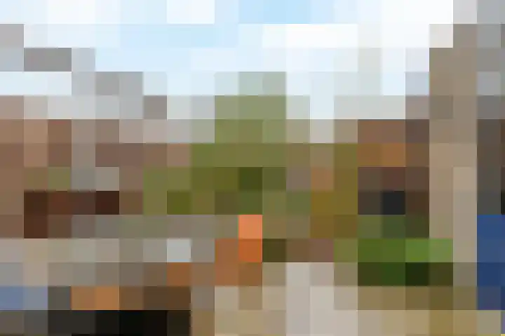 Gipskruid 8 Krimpen aan den IJssel thumbnail 39