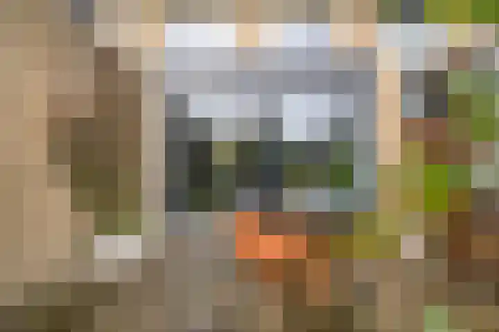 Gipskruid 8 Krimpen aan den IJssel thumbnail 40