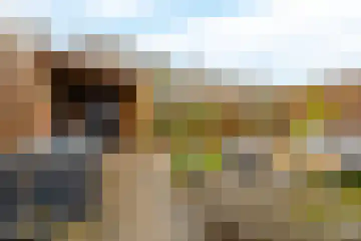 Gipskruid 8 Krimpen aan den IJssel thumbnail 41