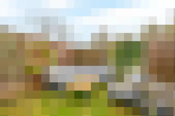 Gipskruid 8 Krimpen aan den IJssel thumbnail 42