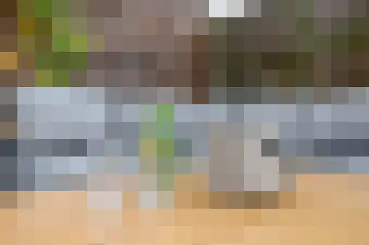 Gipskruid 8 Krimpen aan den IJssel thumbnail 43