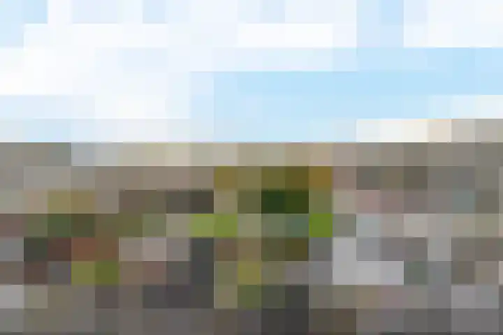 Gipskruid 8 Krimpen aan den IJssel thumbnail 44