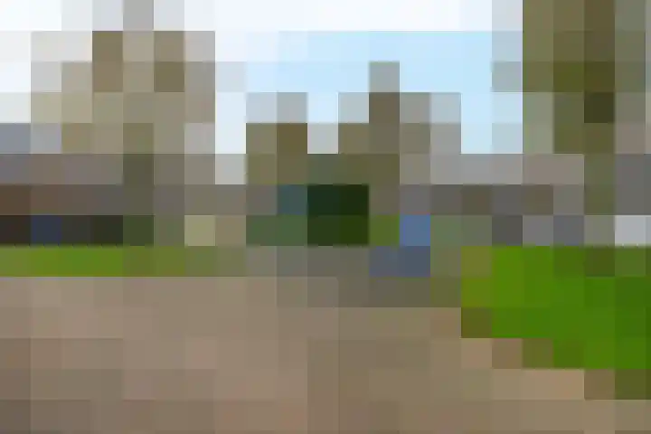 Gipskruid 8 Krimpen aan den IJssel thumbnail 45