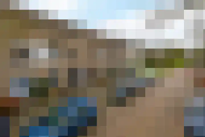 Gipskruid 8 Krimpen aan den IJssel thumbnail 5