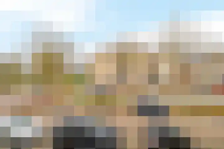 Gipskruid 8 Krimpen aan den IJssel thumbnail 7