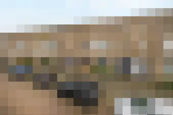 Gipskruid 8 Krimpen aan den IJssel thumbnail 8