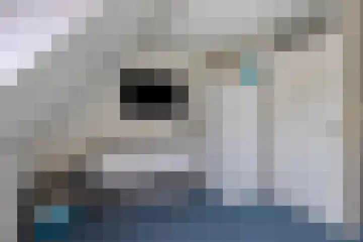 Gipskruidweg 137 Almere thumbnail 16
