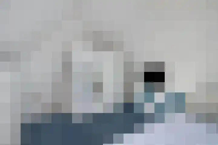 Gipskruidweg 137 Almere thumbnail 23