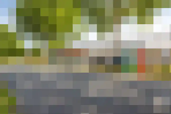 Gipskruidweg 137 Almere thumbnail 29