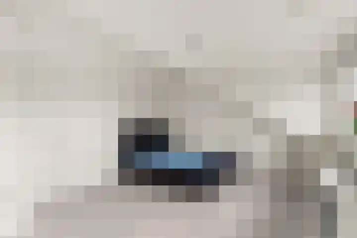 Gipskruidweg 177 Almere thumbnail 33