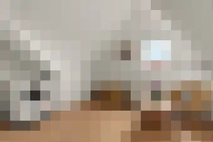 Gipskruidweg 177 Almere thumbnail 35