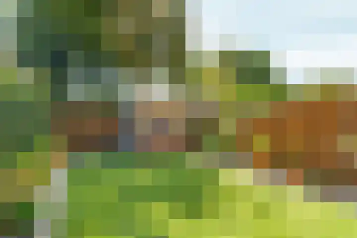 Gipskruidweg 177 Almere thumbnail 37