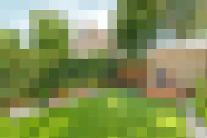 Gipskruidweg 177 Almere thumbnail 38