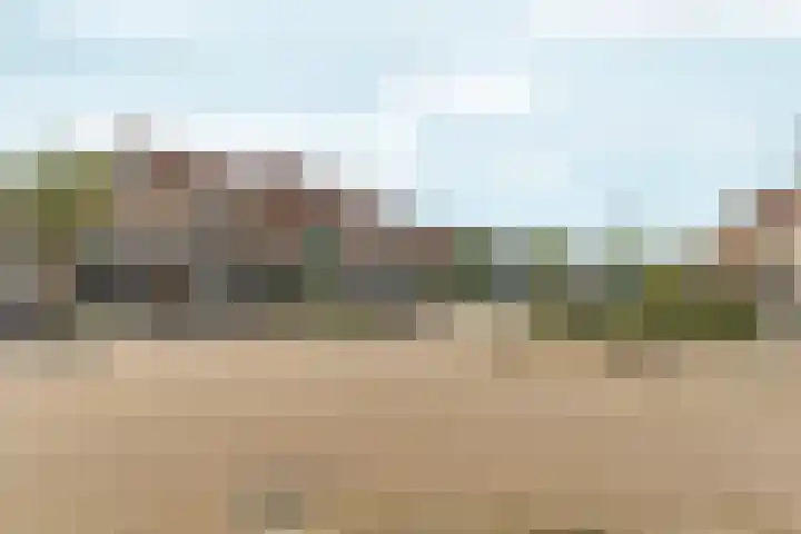 Gipskruidweg 177 Almere thumbnail 42