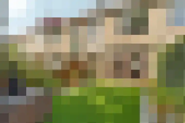 Gipskruidweg 177 Almere thumbnail 5