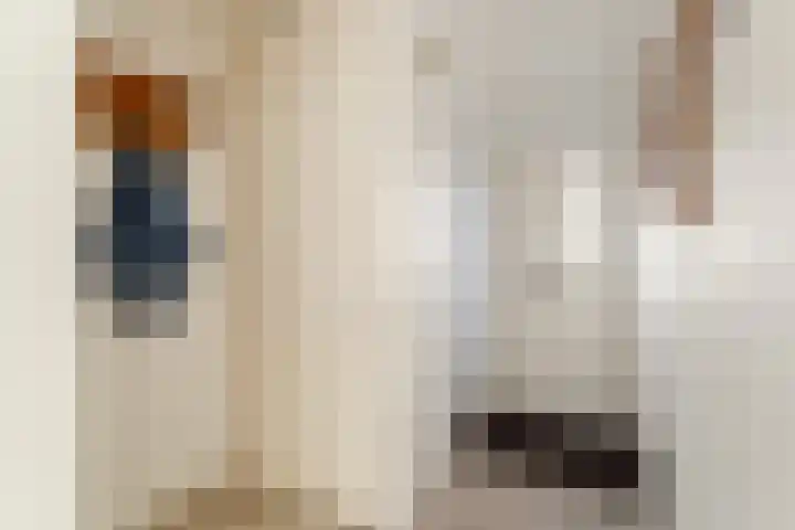 Gipskruidweg 177 Almere thumbnail 9
