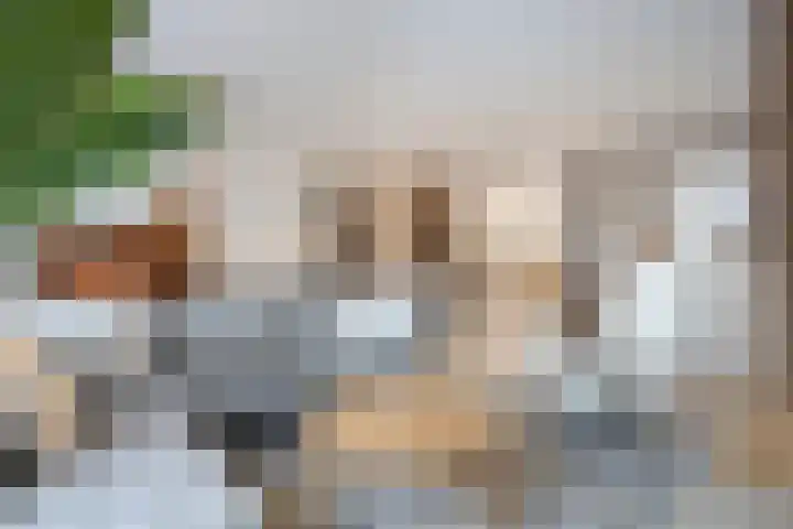 Gipskruidweg 219 Almere thumbnail 13