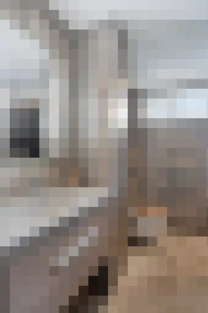 Gipskruidweg 219 Almere thumbnail 30
