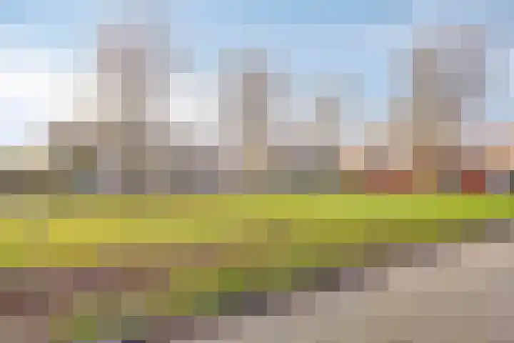 Gipskruidweg 219 Almere thumbnail 46