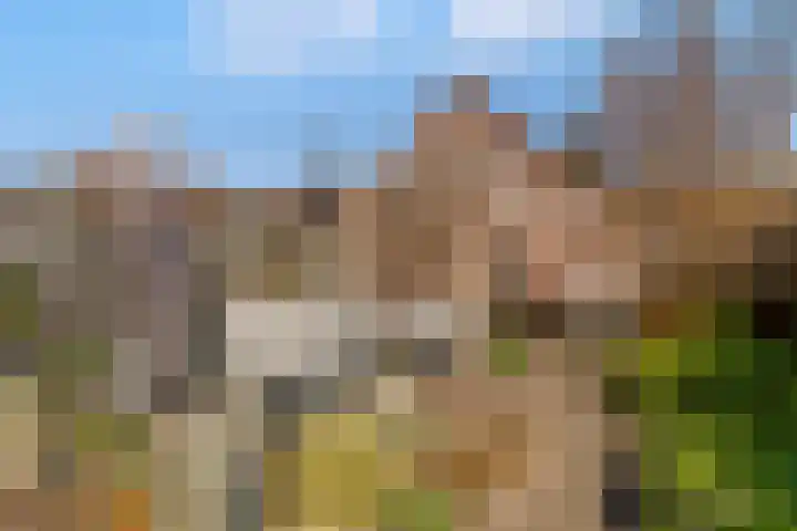 Gipskruidweg 221 Almere thumbnail 46