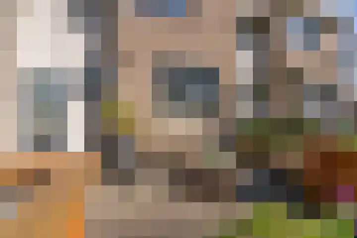 Gipskruidweg 221 Almere thumbnail 6