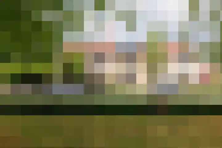 Gipskruidweg 242 Almere