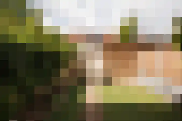 Gipskruidweg 242 Almere thumbnail 27