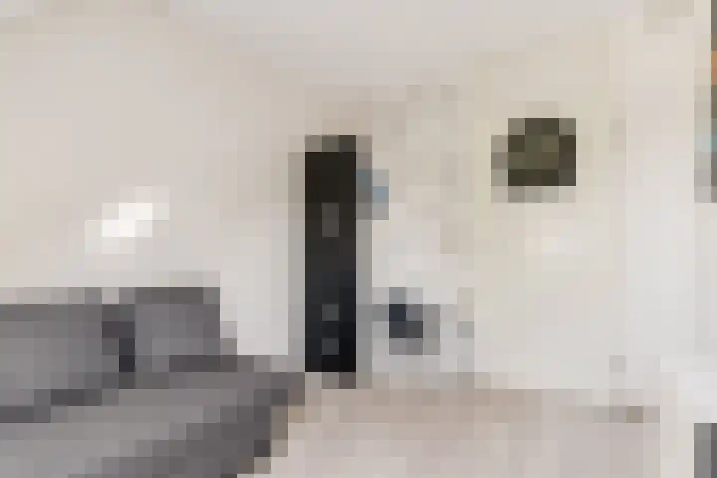 Gipskruidweg 31 Almere thumbnail 27