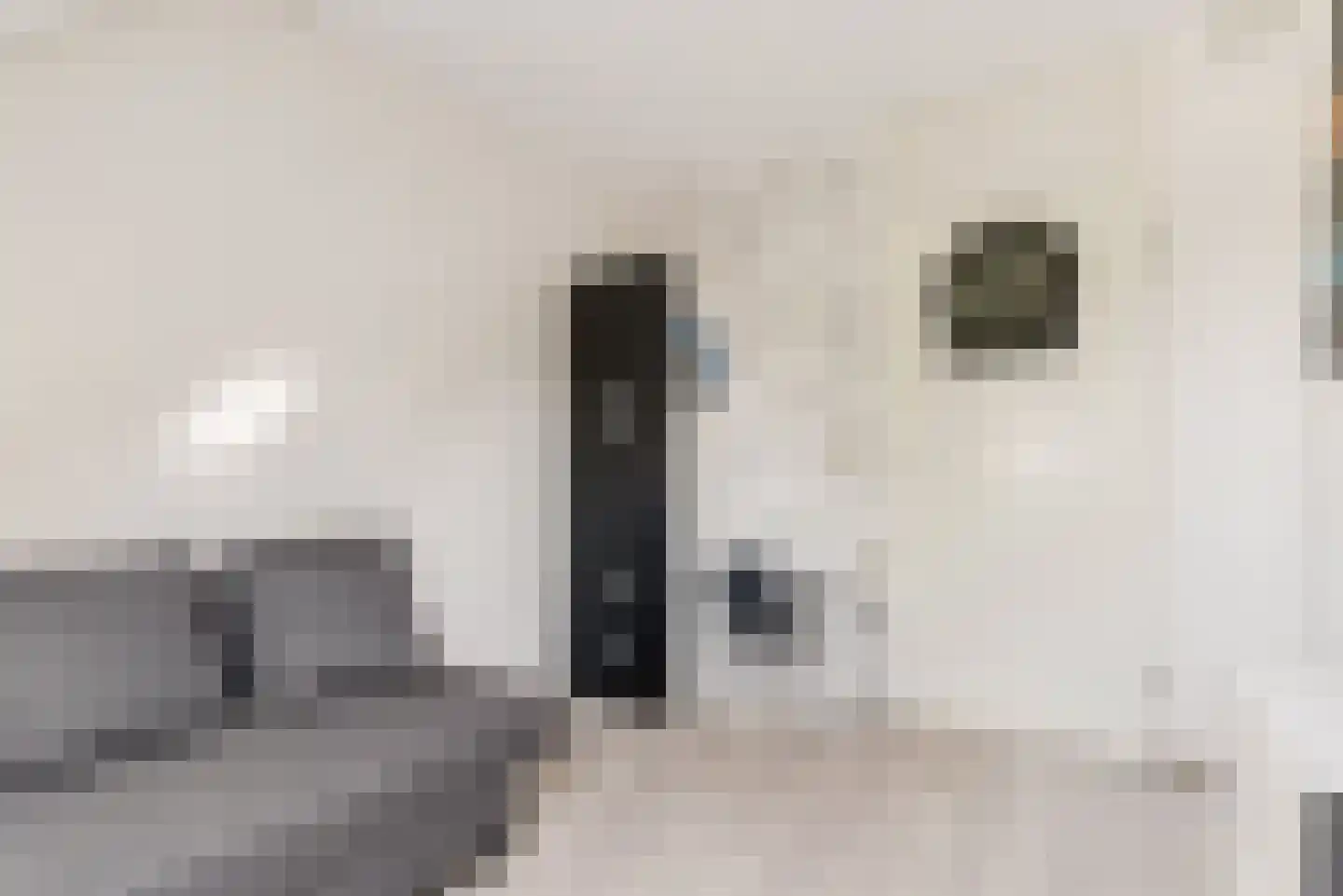 Gipskruidweg 31 Almere thumbnail 27