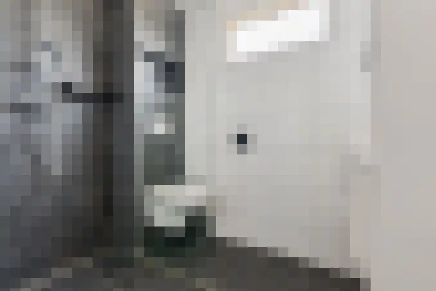 Gipskruidweg 31 Almere thumbnail 30