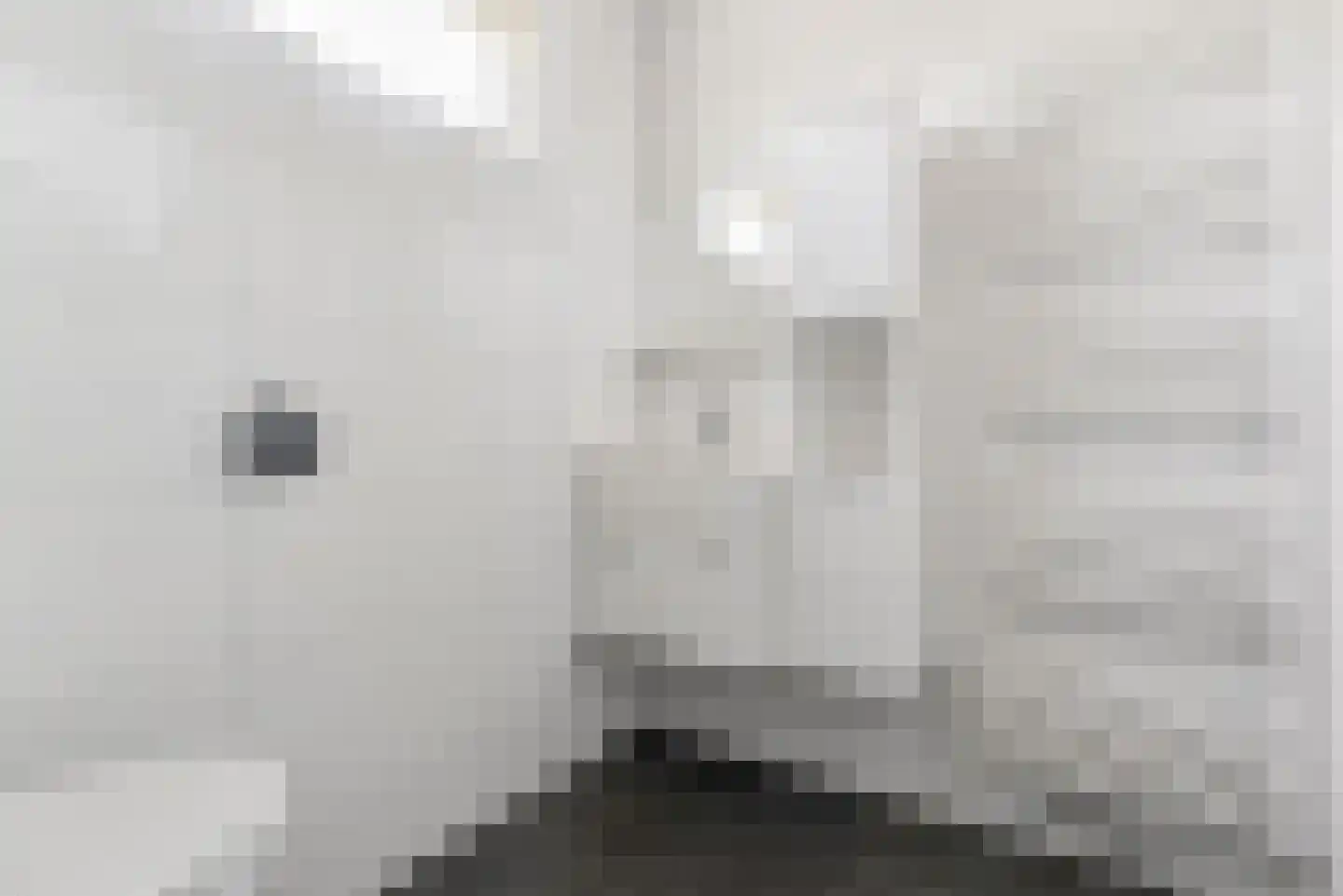 Gipskruidweg 31 Almere thumbnail 31