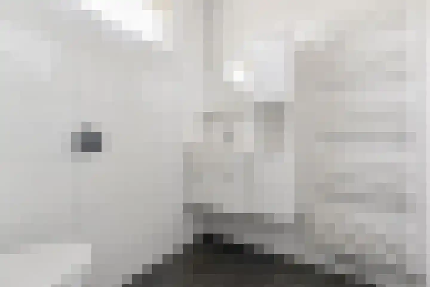 Gipskruidweg 31 Almere thumbnail 31