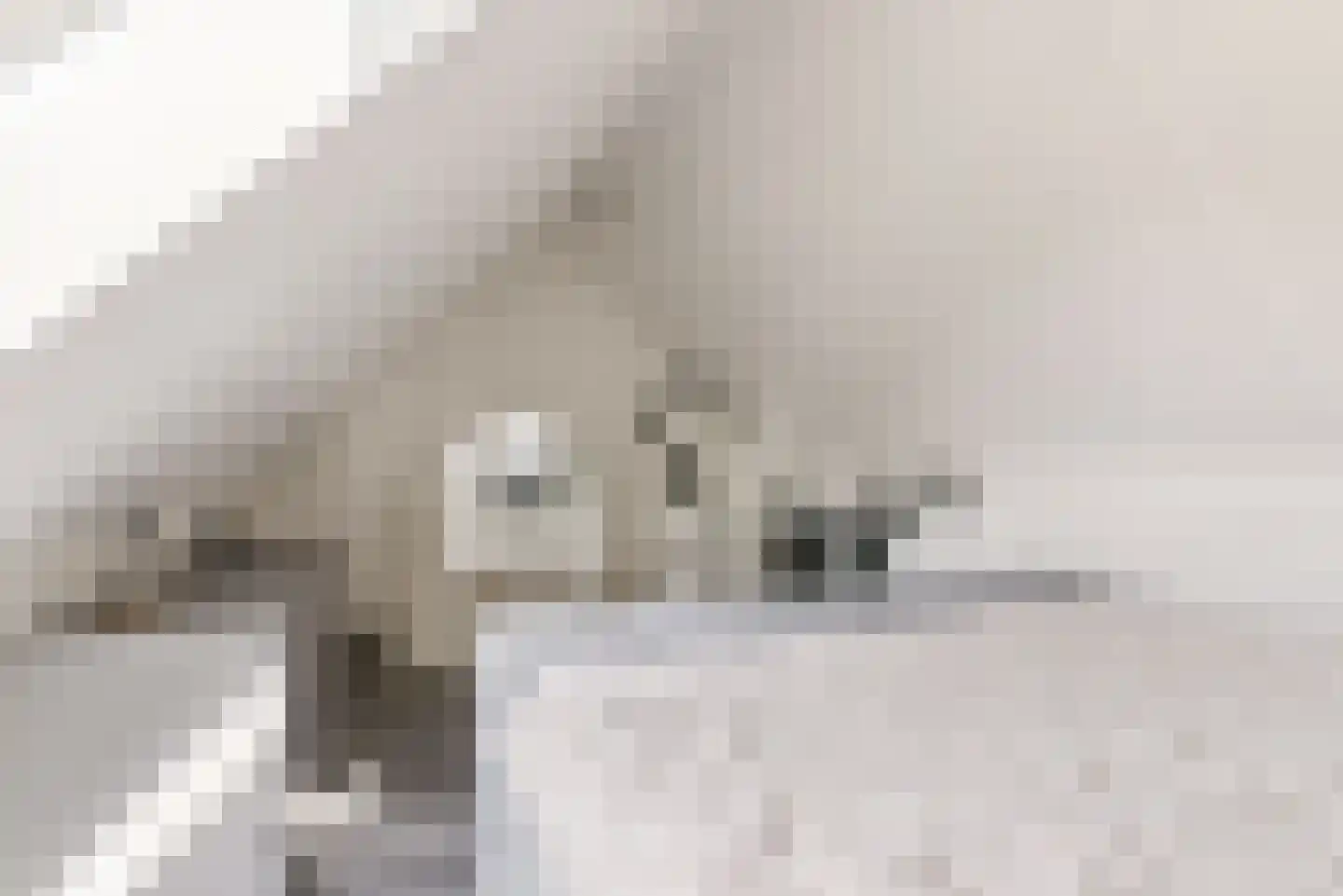 Gipskruidweg 31 Almere thumbnail 34