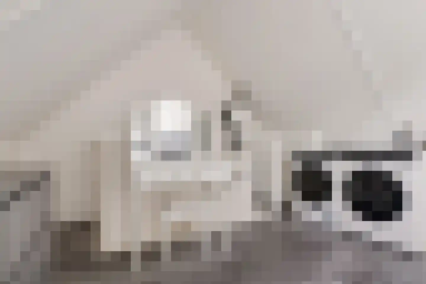 Gipskruidweg 31 Almere thumbnail 35