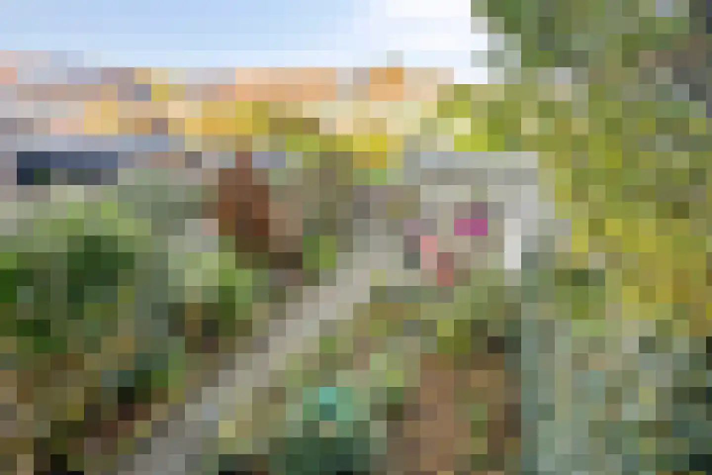 Gipskruidweg 84 Almere thumbnail 26