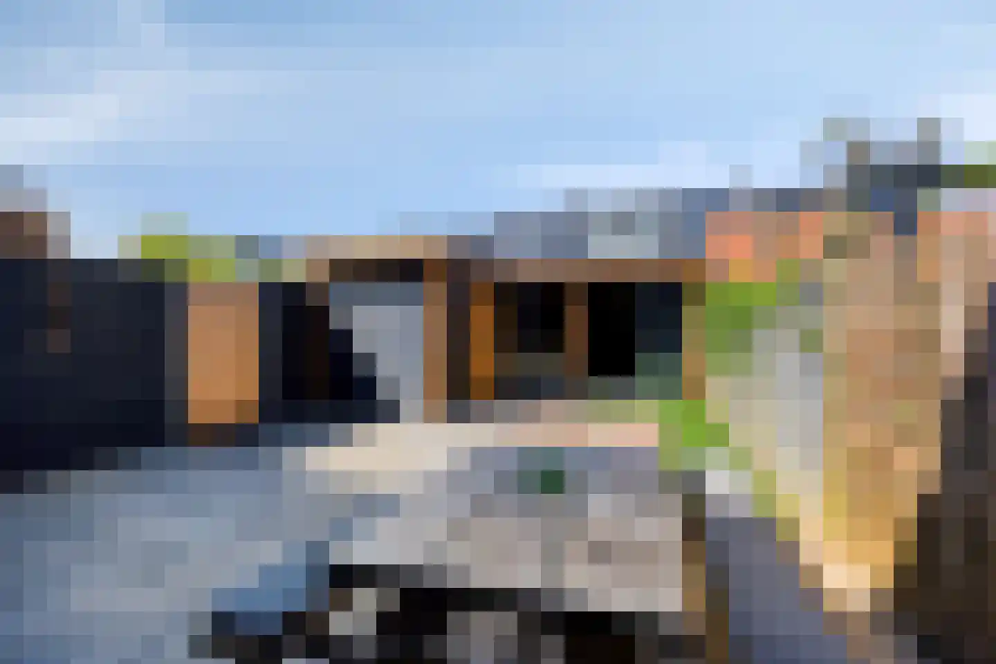 Giraffestraat 10 Rotterdam thumbnail 33